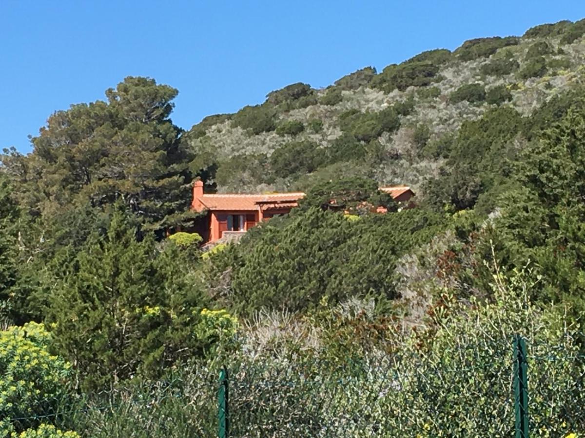 Casa Diana Acomodação com café da manhã Isola di Giannutri Exterior foto